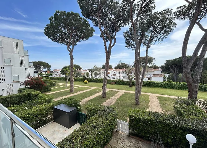 Politur K-19 Daire *